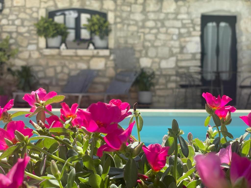 Maison D'Hotes Payan Champier Saint-Paul-Trois-Châteaux Buitenkant foto