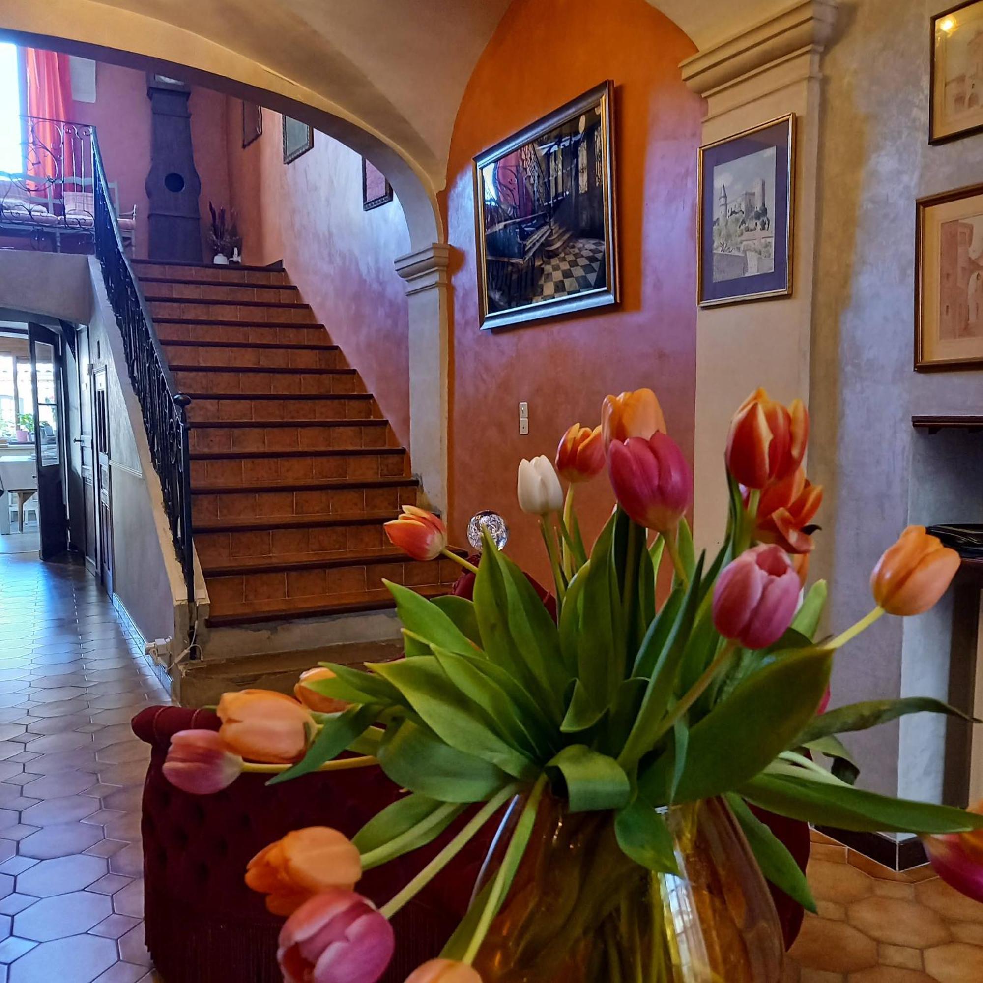 Maison D'Hotes Payan Champier Saint-Paul-Trois-Châteaux Buitenkant foto